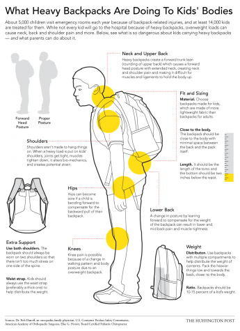 Backpack Infographic