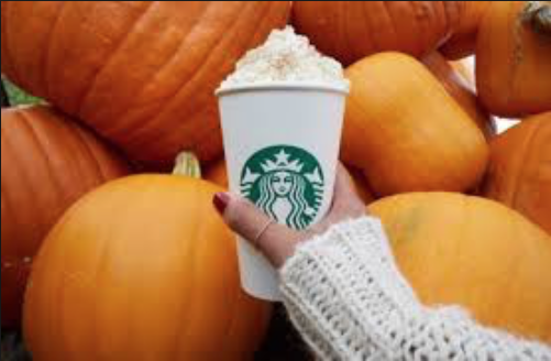 Oh my Gourd! Pumpkin Spice Everything!