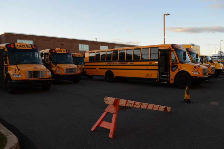 School buses  