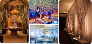 Example photos for the winning prom theme, originally titled Enchanted Garden. Prom will take place on May 1.