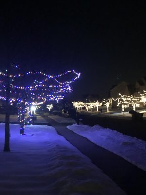 BASH families put their Christmas lights up to get in the holiday spirit