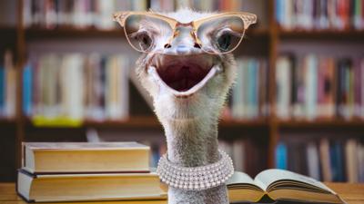 The new librarian, Mrs. Ostrich.