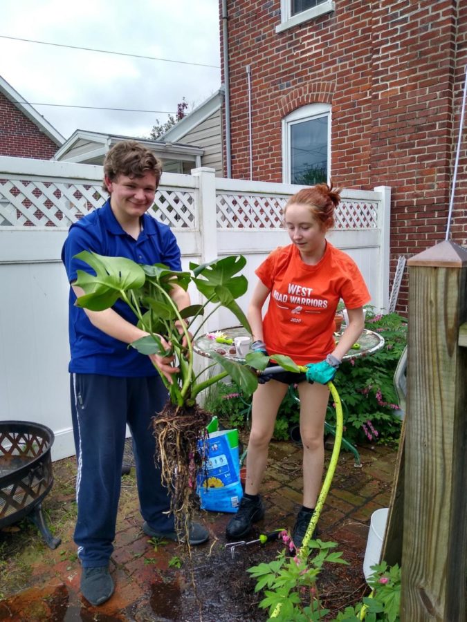 Julia and Logan wash the roots of a monstera in order to re-pot it.
Photo Credit: Logan Zimmers and Julia Eckert