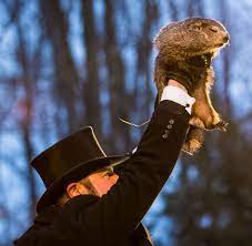 Punxsutawney Phil being held up on Groundhogs Day