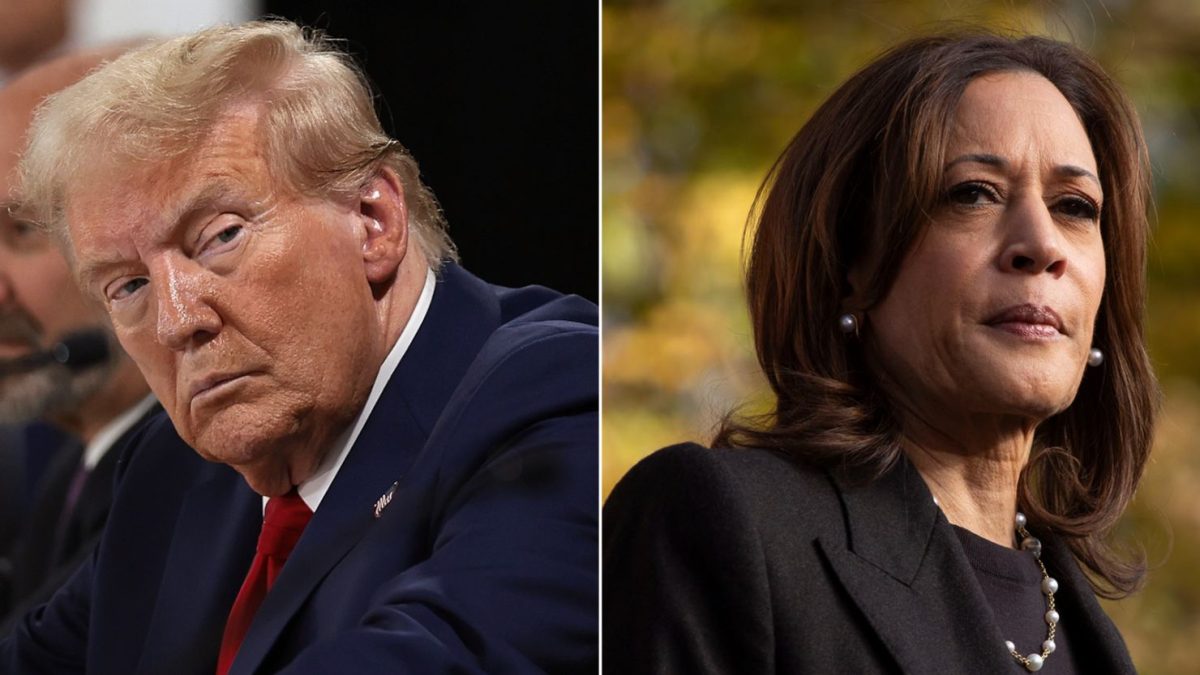 Picture of the 2024 presidential nominees, Donald Trump and Kamala Harris, sourced from Getty Images.  