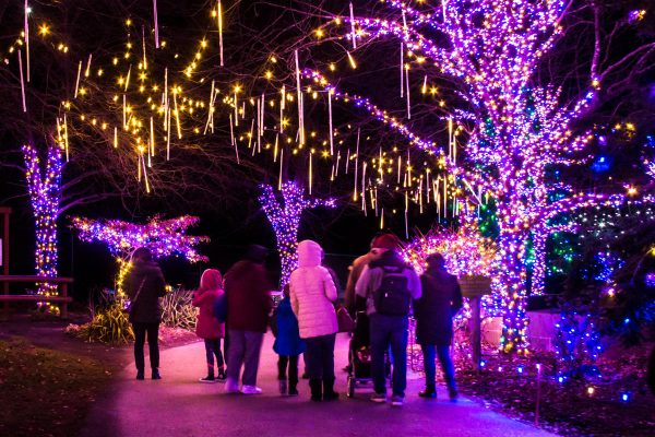 Lehigh valley light show, which started on November 15th. 