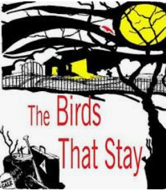 The Birds That Stay play thumbnail